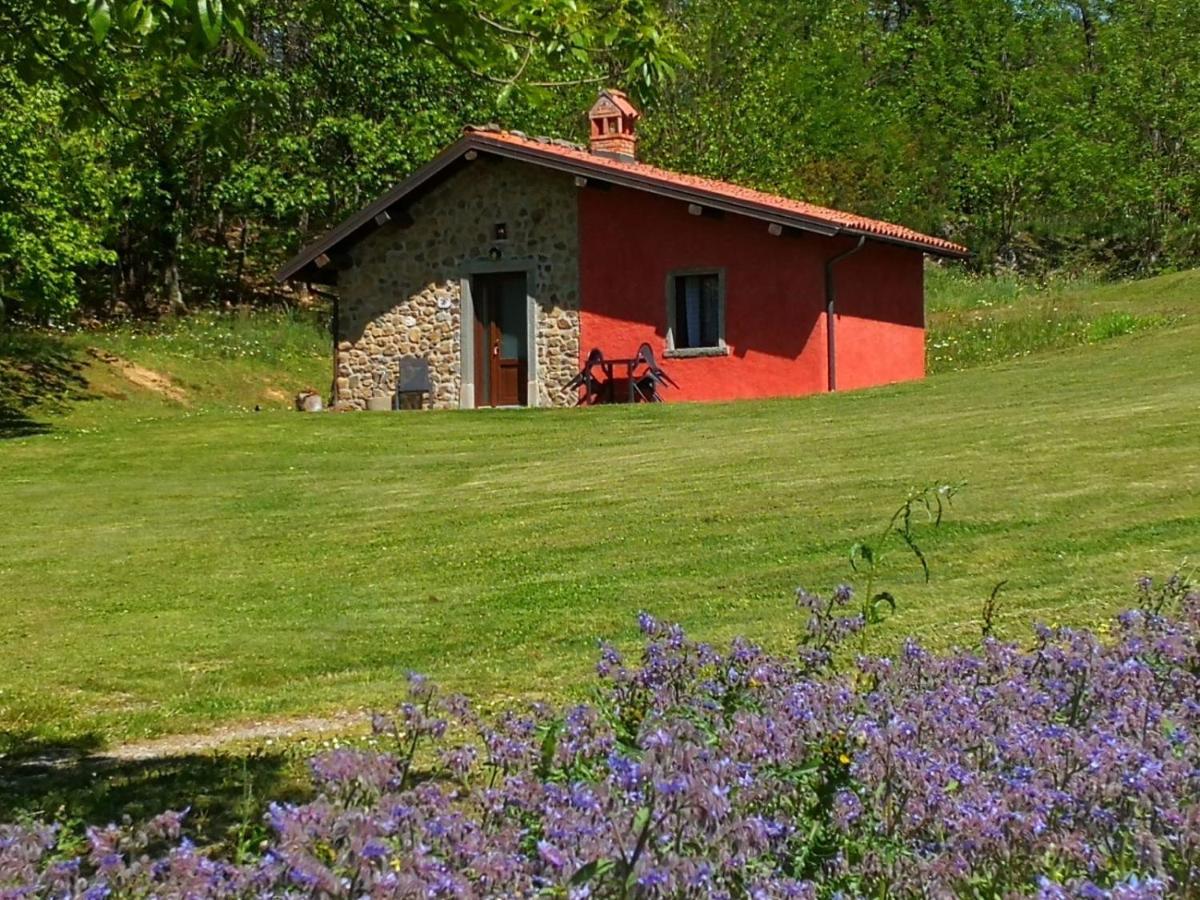 Agriturismo Braccicorti Pieve Fosciana Eksteriør bilde