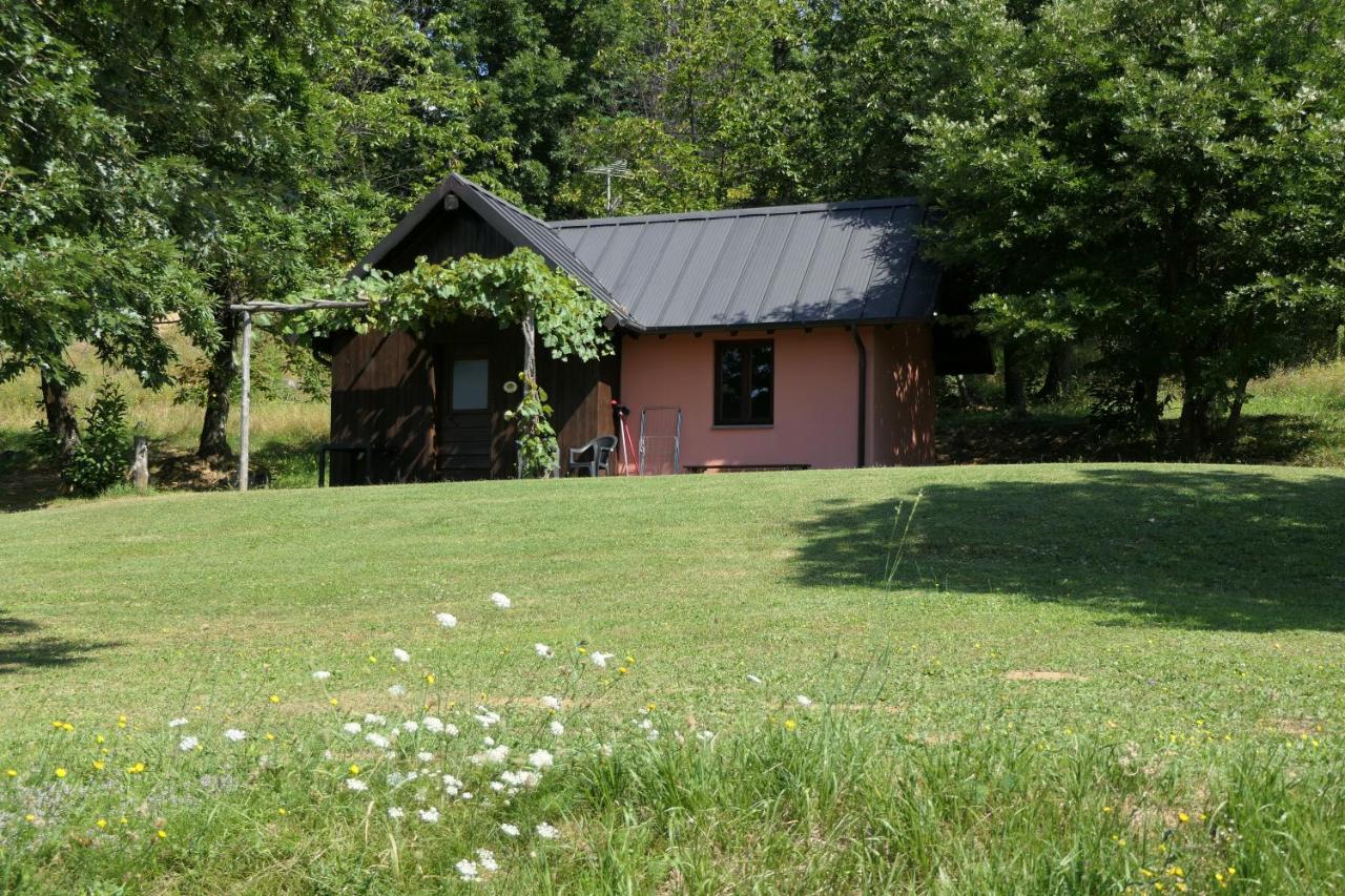 Agriturismo Braccicorti Pieve Fosciana Eksteriør bilde