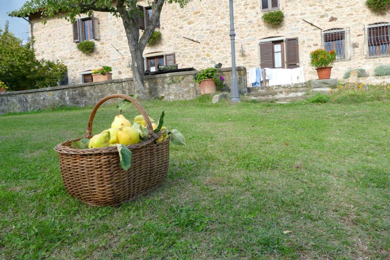 Agriturismo Braccicorti Pieve Fosciana Eksteriør bilde