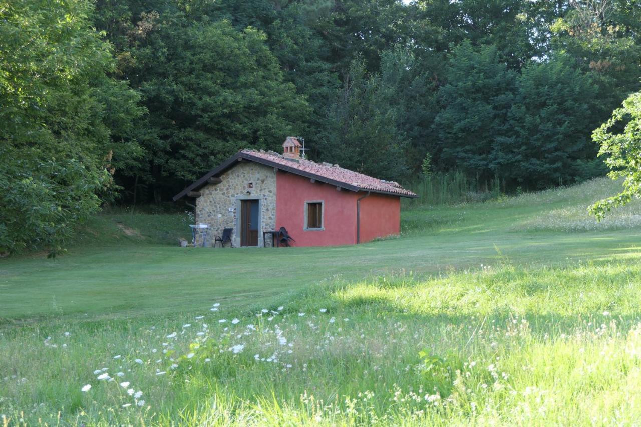 Agriturismo Braccicorti Pieve Fosciana Eksteriør bilde