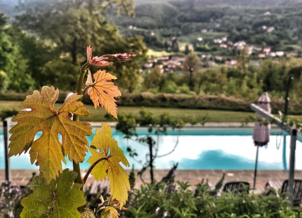 Agriturismo Braccicorti Pieve Fosciana Eksteriør bilde