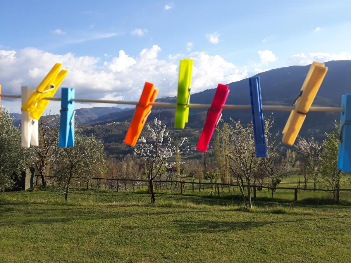 Agriturismo Braccicorti Pieve Fosciana Eksteriør bilde
