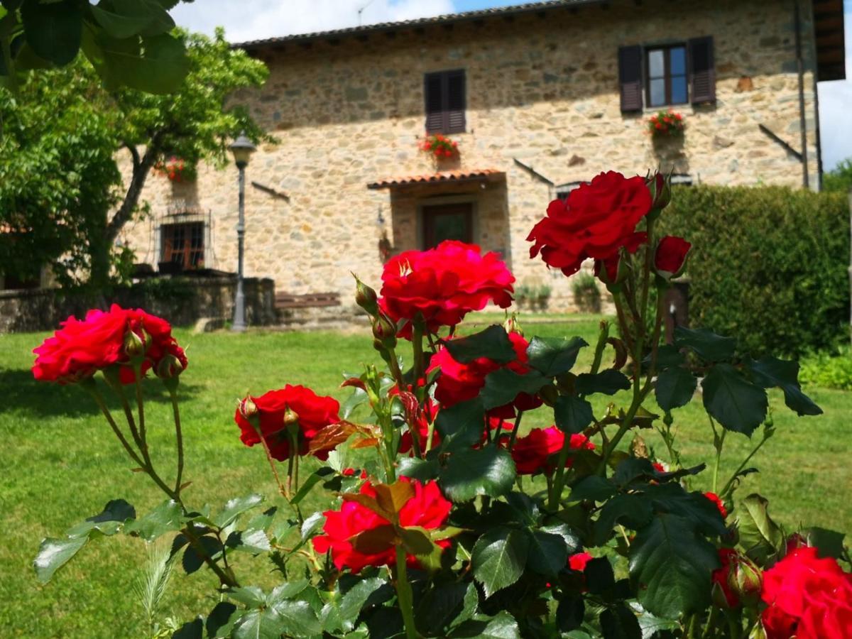 Agriturismo Braccicorti Pieve Fosciana Eksteriør bilde