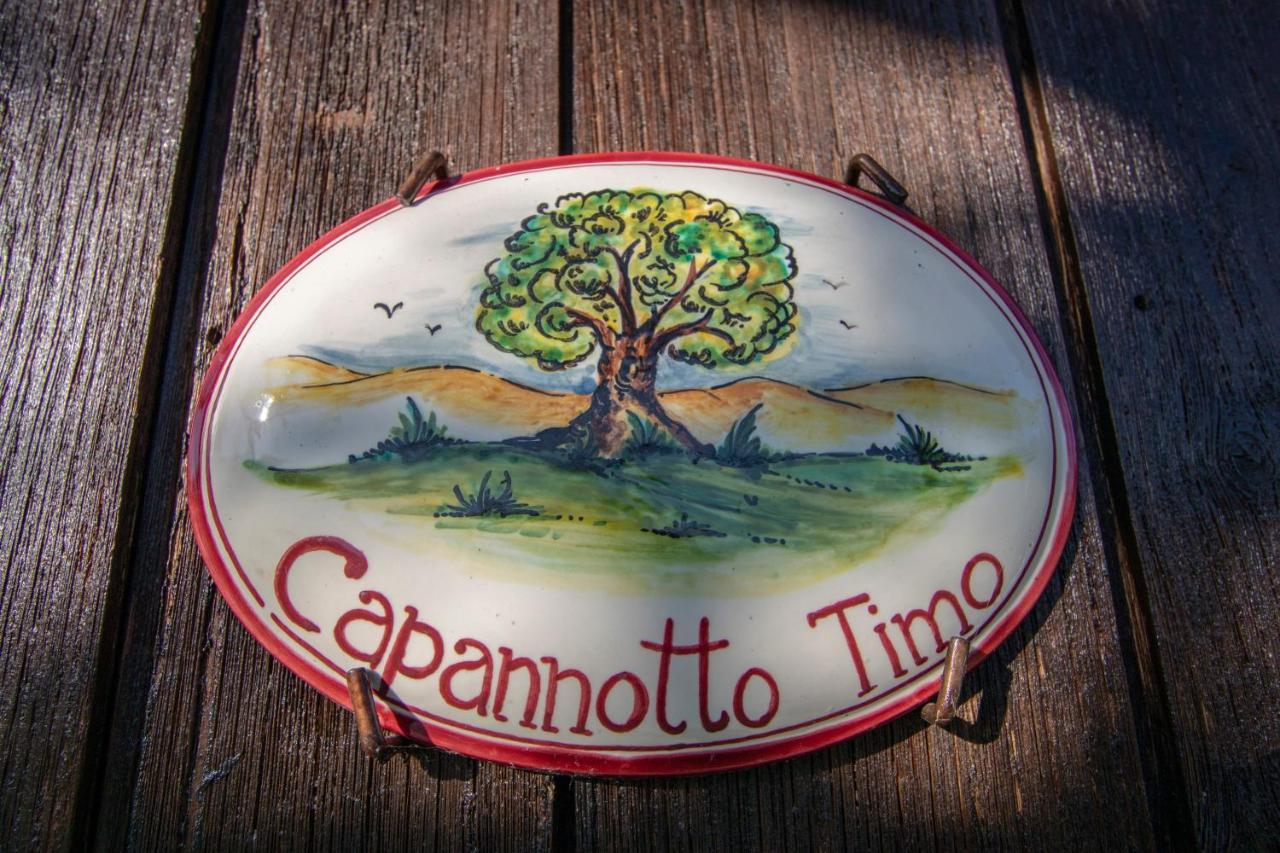 Agriturismo Braccicorti Pieve Fosciana Eksteriør bilde